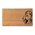 Lion (1)