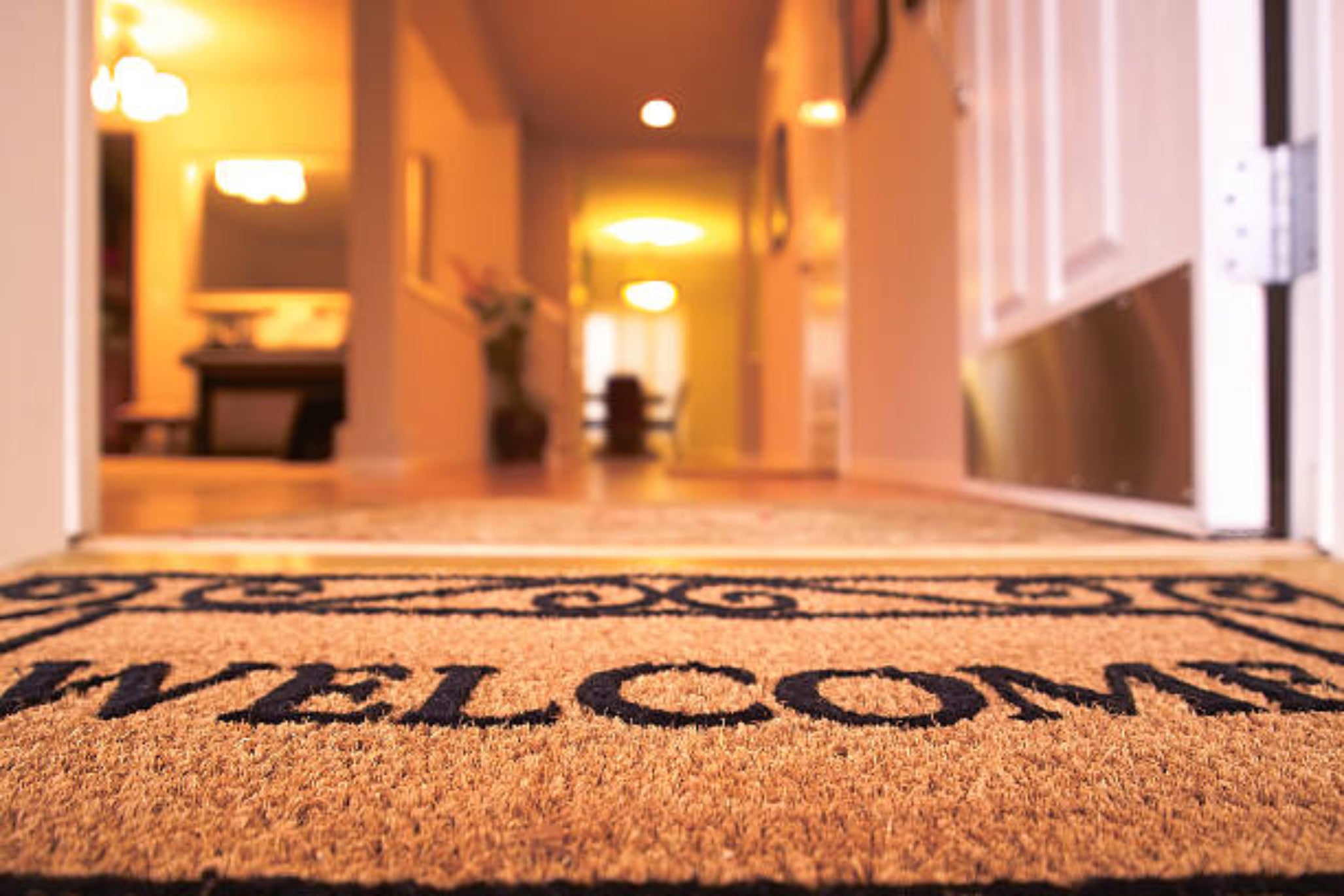 Welcome to Origo Studio
