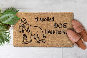 A Spoiled Rotten Spaniel Lives Here (2)