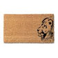 Lion (1)