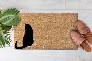 Catplaying (1)