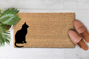 Catplaying (2)