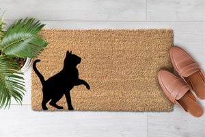 Catplaying (4)