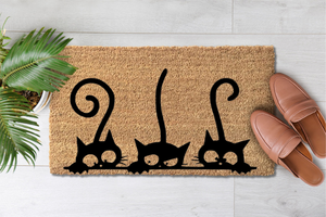 Crazy Catz (1)