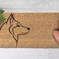 I love Huskies [HR] (1)