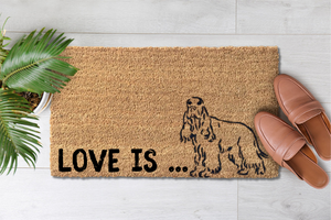 Love Is a Spaniel (1)