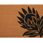 Welkom [Protea] (2)