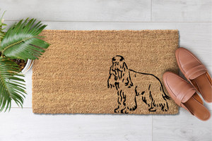 Spaniel (1)