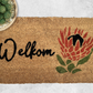 Protea (1)