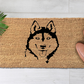 Wolfdog (Husky) [HR] (2)